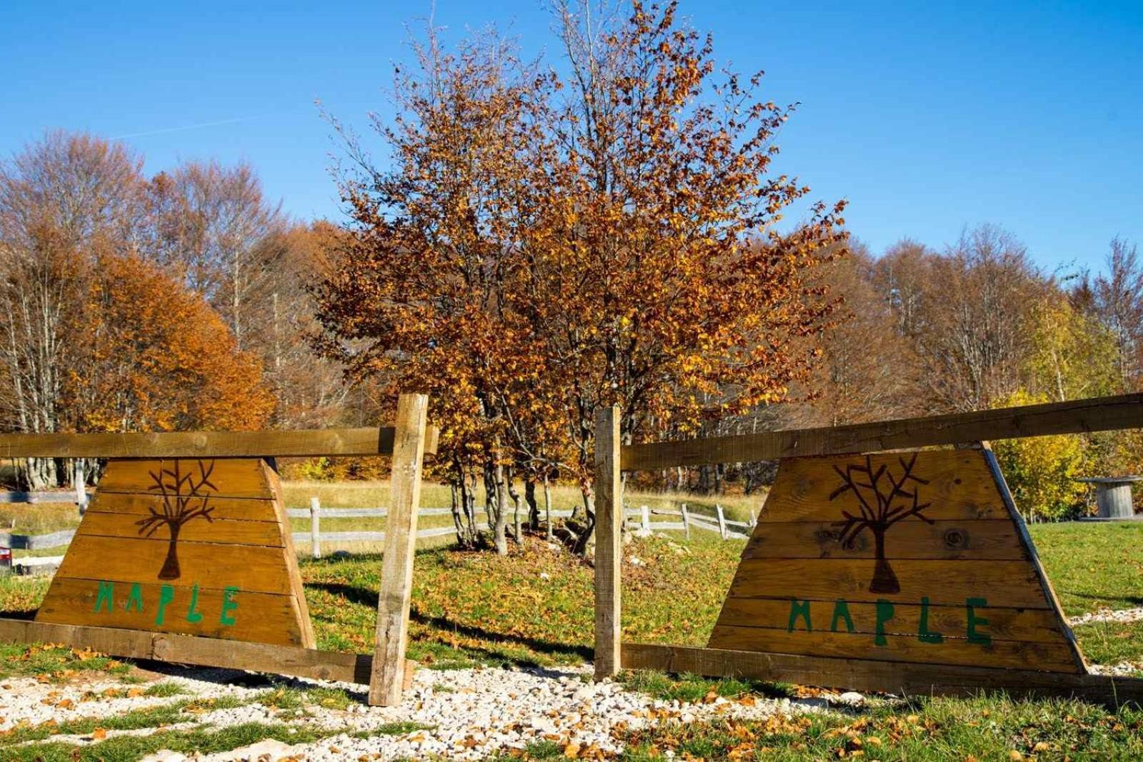 Maple Bungalows Žabljak Esterno foto