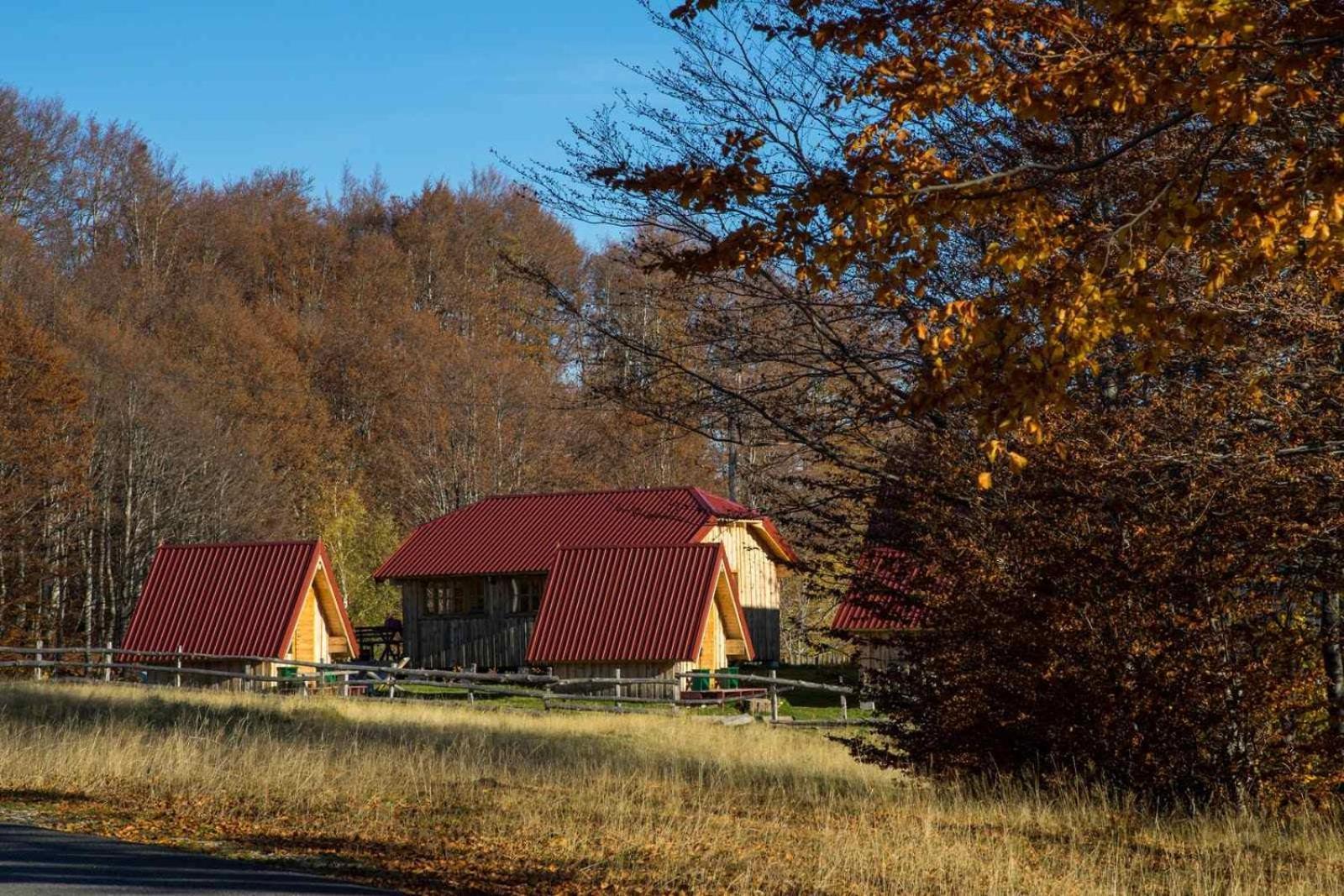 Maple Bungalows Žabljak Esterno foto
